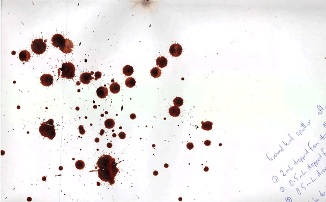 Experimental blood splatter on white paper with a description in writing on the paper of the experiment for court purposes