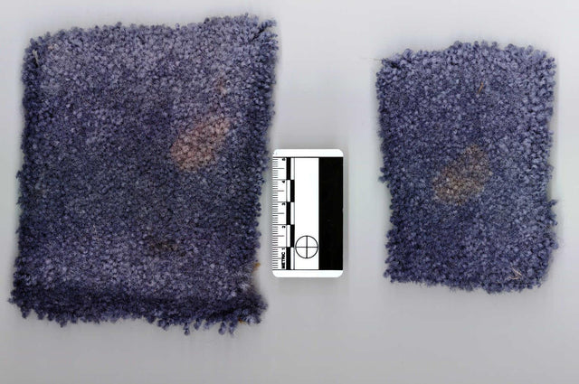Two small cutouts of stained carpet from a crime scene next to a forensic ruler for court evidence