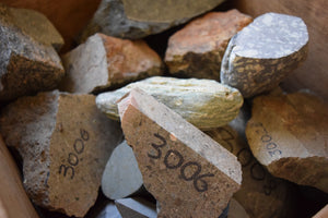 Geology samples of rocks with sample number identification